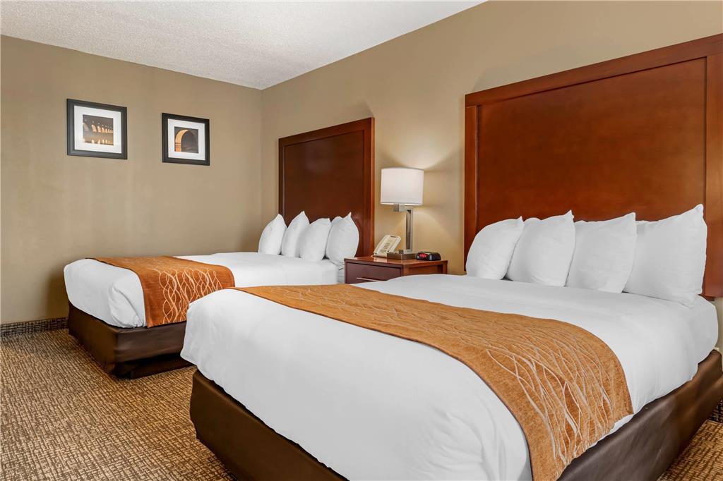 Comfort Inn Msp Airport - Mall Of America Bloomington Ruang foto